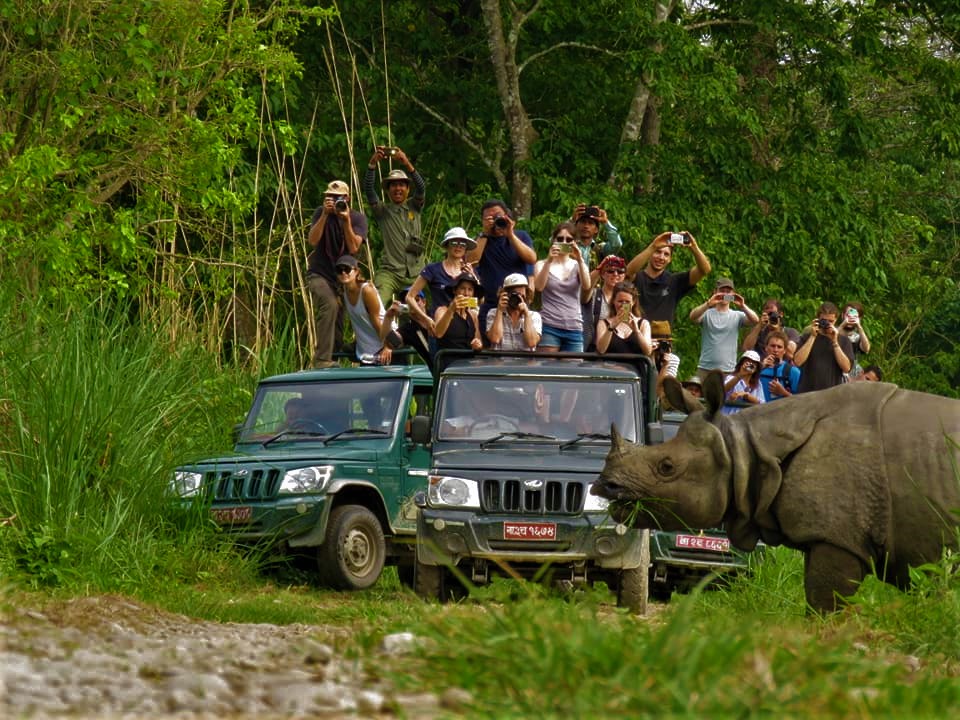 Wildlife Safaris